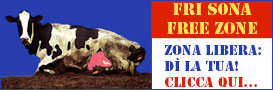 fotografia forum